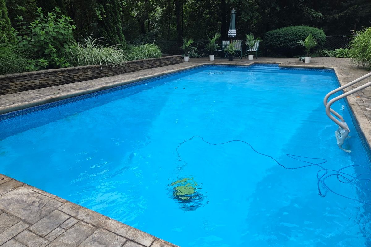 After: Green to sparkling — Dutchess County, summer 2026