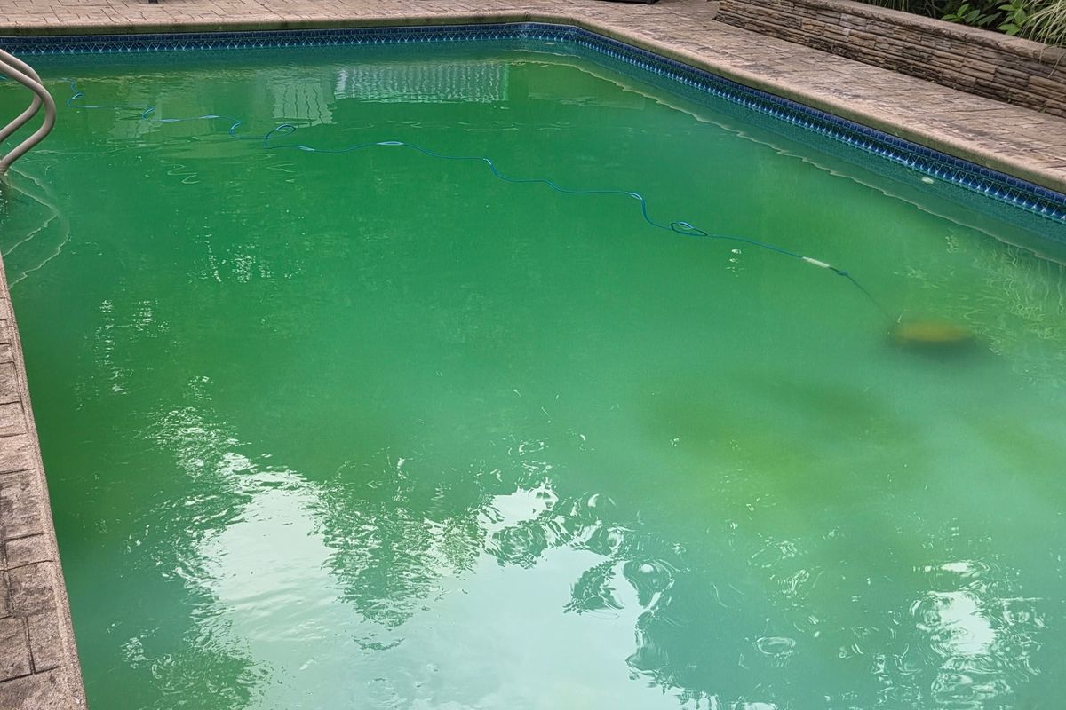 Before: Green to sparkling — Dutchess County, summer 2026
