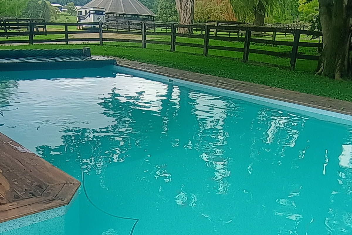 After: Algae bloom to swim-ready in one visit — Dutchess County, 2026