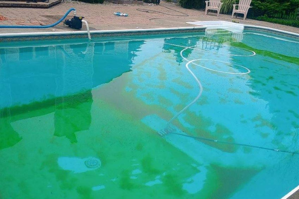 Before: Algae cleanup and rebalance — Dutchess County, 2026