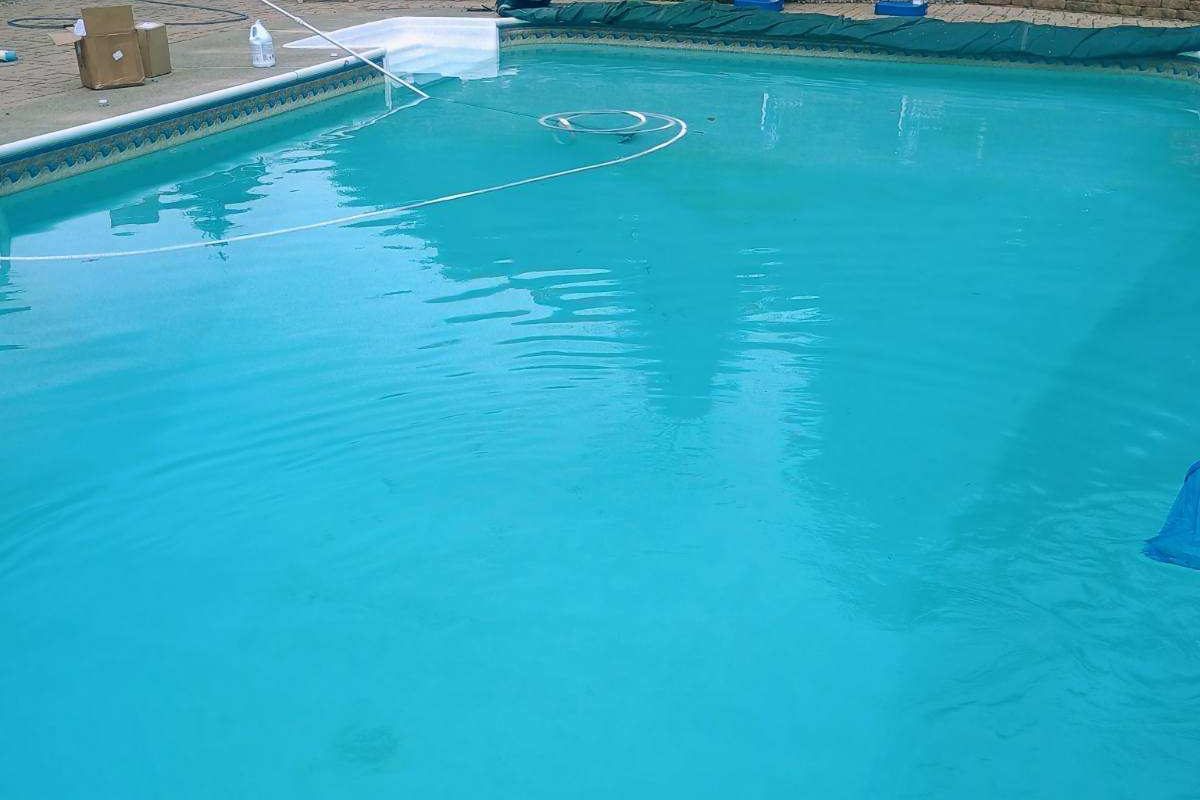 Skimming leaves from a clear pool with cleaning supplies nearby