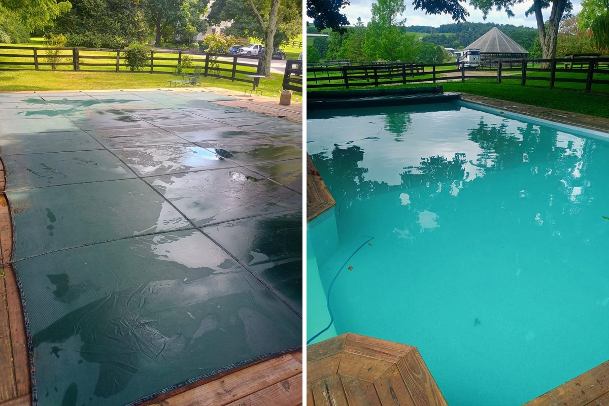 Sparkling pool in spring with blossoms